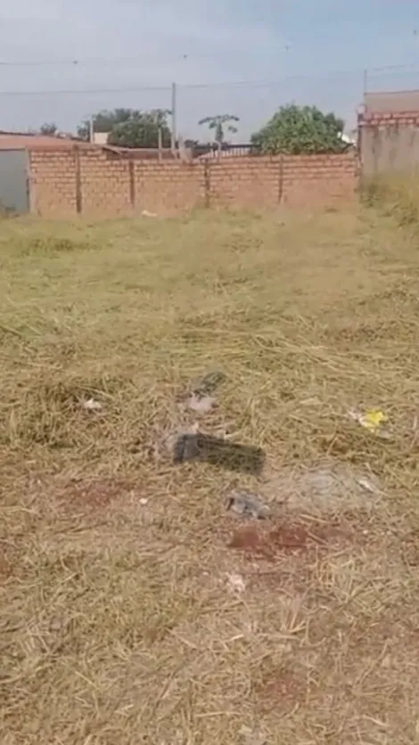 imagem 1 - Terreno de 200m² - Brodowski imagem 1 - Terreno de 200m² - Brodowski