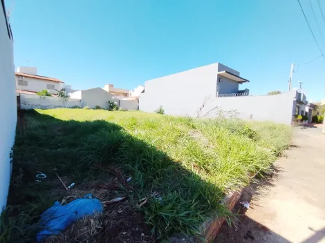imagem 2 - Terreno de 327m² à venda - Jardim Califórnia imagem 2 - Terreno de 327m² à venda - Jardim Califórnia