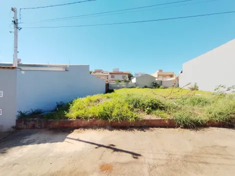 imagem 3 - Terreno de 327m² à venda - Jardim Califórnia imagem 3 - Terreno de 327m² à venda - Jardim Califórnia