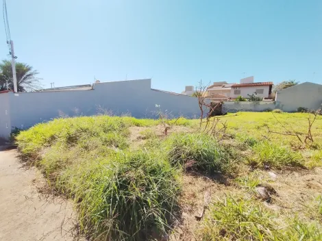 imagem 5 - Terreno de 327m² à venda - Jardim Califórnia imagem 5 - Terreno de 327m² à venda - Jardim Califórnia
