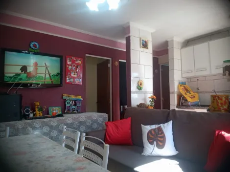 imagem 5 - Apartamento de 42m² com 2 quartos à venda - Jardim João Rossi imagem 5 - Apartamento de 42m² com 2 quartos à venda - Jardim João Rossi