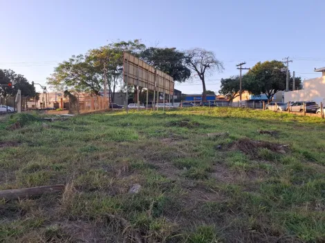 imagem 4 - Terreno 759m² à venda - Vila Amélia imagem 4 - Terreno 759m² à venda - Vila Amélia