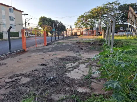 imagem 5 - Terreno 759m² à venda - Vila Amélia imagem 5 - Terreno 759m² à venda - Vila Amélia