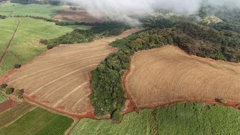 imagem 1 - Área rural de 41,68 hectares à venda - Jardinópolis imagem 1 - Área rural de 41,68 hectares à venda - Jardinópolis