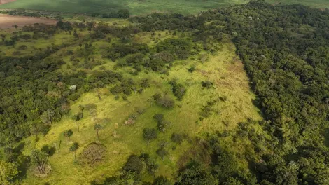 imagem 3 - Área rural de 41,68 hectares à venda - Jardinópolis imagem 3 - Área rural de 41,68 hectares à venda - Jardinópolis