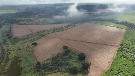 imagem 5 - Área rural de 41,68 hectares à venda - Jardinópolis imagem 5 - Área rural de 41,68 hectares à venda - Jardinópolis