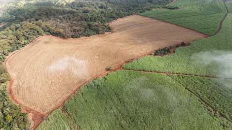 imagem 2 - Área rural de 96,15 hectares à venda - Jardinópolis imagem 2 - Área rural de 96,15 hectares à venda - Jardinópolis