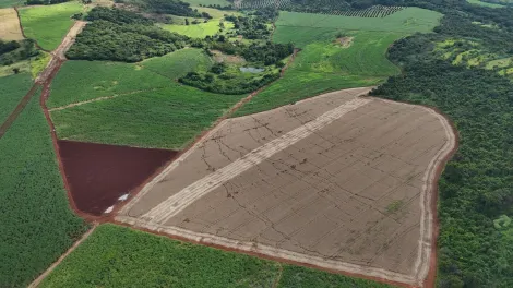 imagem 2 - Área rural de 95,45 hectares à venda - Jardinópolis imagem 2 - Área rural de 95,45 hectares à venda - Jardinópolis