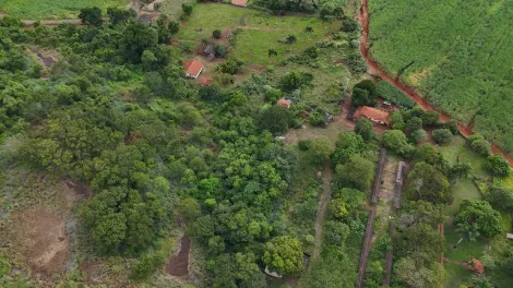 imagem 3 - Área rural de 95,45 hectares à venda - Jardinópolis imagem 3 - Área rural de 95,45 hectares à venda - Jardinópolis