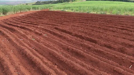 imagem 4 - Área rural de 95,45 hectares à venda - Jardinópolis imagem 4 - Área rural de 95,45 hectares à venda - Jardinópolis