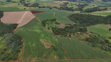 imagem 5 - Área rural de 95,45 hectares à venda - Jardinópolis imagem 5 - Área rural de 95,45 hectares à venda - Jardinópolis