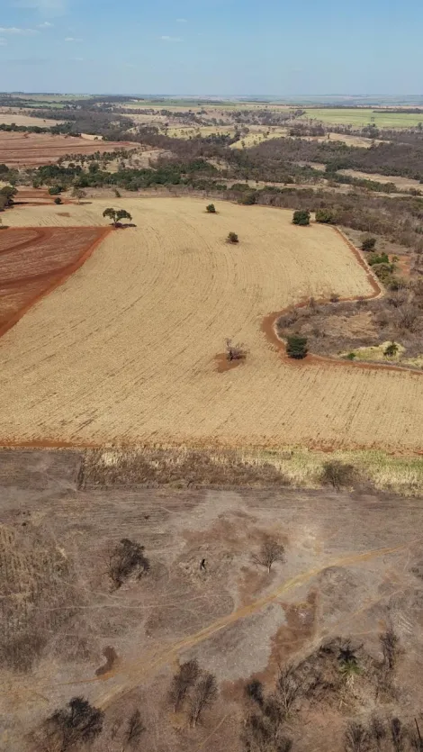 imagem 1 - Fazenda de 77,43 hectares à venda - Ituverava imagem 1 - Fazenda de 77,43 hectares à venda - Ituverava