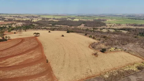 imagem 2 - Fazenda de 77,43 hectares à venda - Ituverava imagem 2 - Fazenda de 77,43 hectares à venda - Ituverava