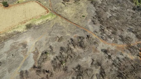 imagem 3 - Fazenda de 77,43 hectares à venda - Ituverava imagem 3 - Fazenda de 77,43 hectares à venda - Ituverava