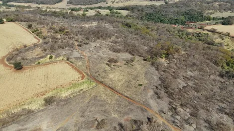 imagem 4 - Fazenda de 77,43 hectares à venda - Ituverava imagem 4 - Fazenda de 77,43 hectares à venda - Ituverava
