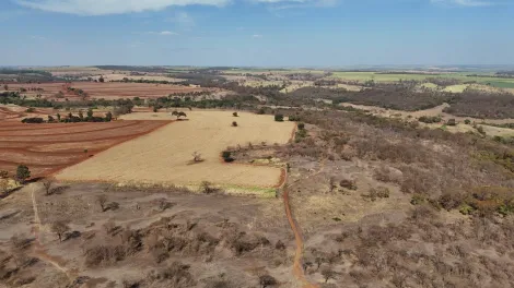 imagem 5 - Fazenda de 77,43 hectares à venda - Ituverava imagem 5 - Fazenda de 77,43 hectares à venda - Ituverava