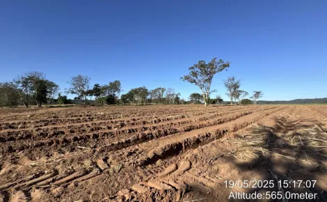 imagem 1 - Fazenda de 605 hectares à venda - Ibaté imagem 1 - Fazenda de 605 hectares à venda - Ibaté