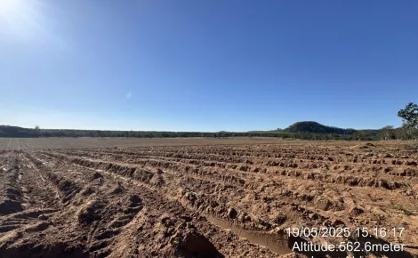 imagem 3 - Fazenda de 605 hectares à venda - Ibaté imagem 3 - Fazenda de 605 hectares à venda - Ibaté