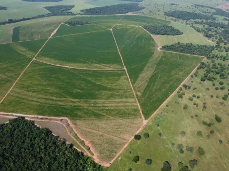 imagem 1 - Fazenda de 749,20 hectares à venda - Paranaiguara imagem 1 - Fazenda de 749,20 hectares à venda - Paranaiguara