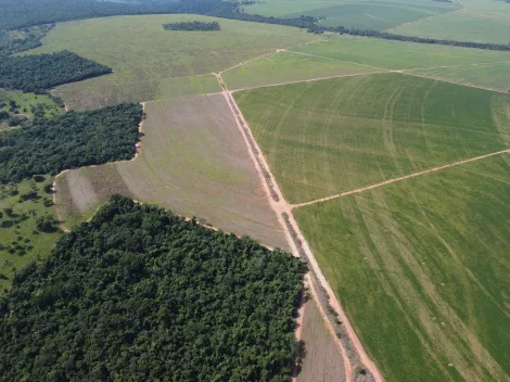imagem 2 - Fazenda de 749,20 hectares à venda - Paranaiguara imagem 2 - Fazenda de 749,20 hectares à venda - Paranaiguara