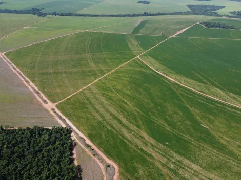 imagem 3 - Fazenda de 749,20 hectares à venda - Paranaiguara imagem 3 - Fazenda de 749,20 hectares à venda - Paranaiguara