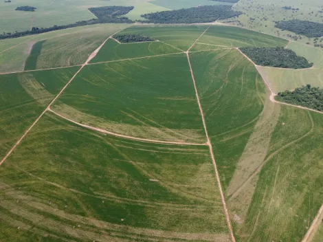 imagem 4 - Fazenda de 749,20 hectares à venda - Paranaiguara imagem 4 - Fazenda de 749,20 hectares à venda - Paranaiguara