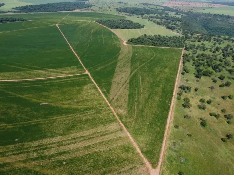 imagem 5 - Fazenda de 749,20 hectares à venda - Paranaiguara imagem 5 - Fazenda de 749,20 hectares à venda - Paranaiguara