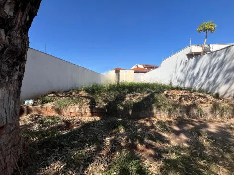 imagem 1 - Terreno de 253m² à venda - Jardim Califórnia imagem 1 - Terreno de 253m² à venda - Jardim Califórnia