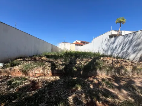 imagem 2 - Terreno de 253m² à venda - Jardim Califórnia imagem 2 - Terreno de 253m² à venda - Jardim Califórnia