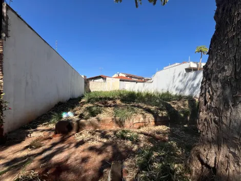 imagem 3 - Terreno de 253m² à venda - Jardim Califórnia imagem 3 - Terreno de 253m² à venda - Jardim Califórnia