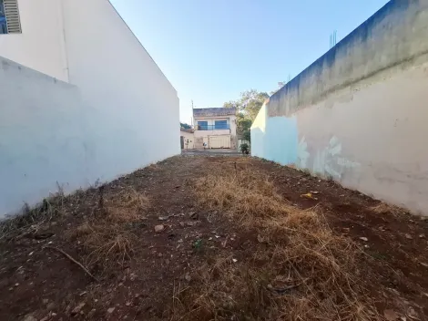 imagem 4 - Terreno de 160m² à venda - Jardim Porto Seguro imagem 4 - Terreno de 160m² à venda - Jardim Porto Seguro