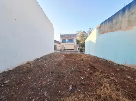 imagem 5 - Terreno de 160m² à venda - Jardim Porto Seguro imagem 5 - Terreno de 160m² à venda - Jardim Porto Seguro