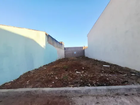 imagem 1 - Terreno de 160m² à venda - Jardim Porto Seguro imagem 1 - Terreno de 160m² à venda - Jardim Porto Seguro
