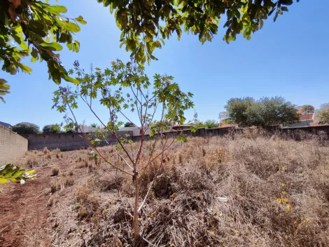 imagem 1 - Terreno de 974m² murado e aterrado à venda - Parque Primavera imagem 1 - Terreno de 974m² murado e aterrado à venda - Parque Primavera
