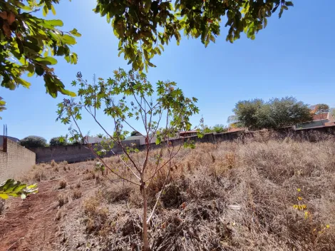 imagem 2 - Terreno de 974m² murado e aterrado à venda - Parque Primavera imagem 2 - Terreno de 974m² murado e aterrado à venda - Parque Primavera