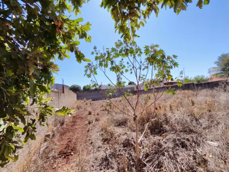 imagem 3 - Terreno de 974m² murado e aterrado à venda - Parque Primavera imagem 3 - Terreno de 974m² murado e aterrado à venda - Parque Primavera