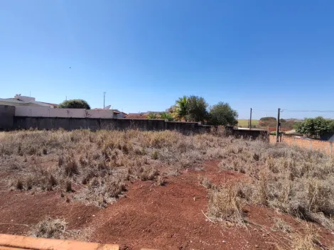 imagem 5 - Terreno de 974m² murado e aterrado à venda - Parque Primavera imagem 5 - Terreno de 974m² murado e aterrado à venda - Parque Primavera