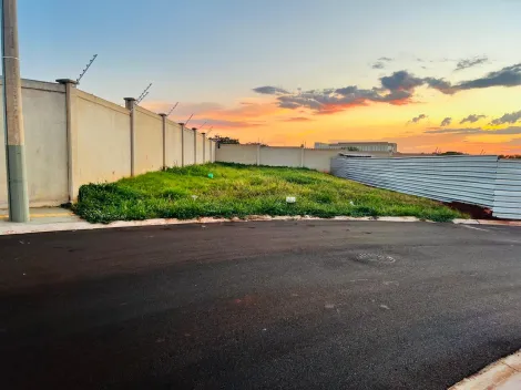 imagem 1 - Terreno de 379m² à venda - Jardim Bothânico imagem 1 - Terreno de 379m² à venda - Jardim Bothânico