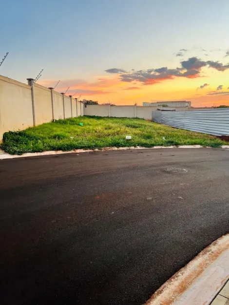 imagem 2 - Terreno de 379m² à venda - Jardim Bothânico imagem 2 - Terreno de 379m² à venda - Jardim Bothânico