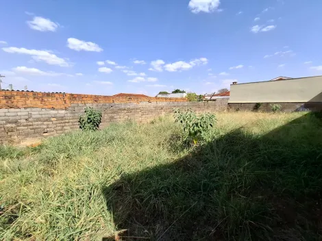 imagem 1 - Terreno de 257m² à venda - Jardim Antártica imagem 1 - Terreno de 257m² à venda - Jardim Antártica