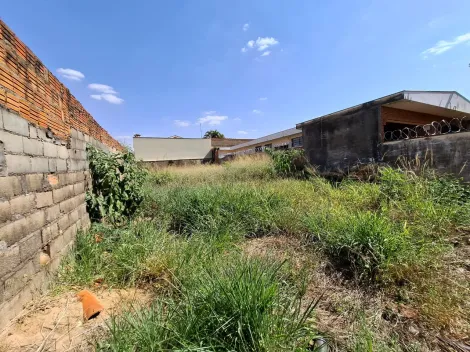 imagem 2 - Terreno de 257m² à venda - Jardim Antártica imagem 2 - Terreno de 257m² à venda - Jardim Antártica