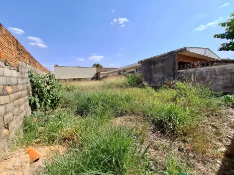 imagem 4 - Terreno de 257m² à venda - Jardim Antártica imagem 4 - Terreno de 257m² à venda - Jardim Antártica