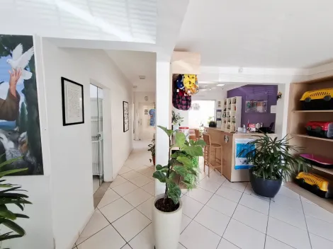 imagem 4 - Comercial padrão - Casa comercial imagem 4 - Comercial padrão - Casa comercial