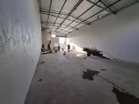 imagem 3 - Galpão de 250m² com 02 lavabos para locação - Nova Ribeirânia imagem 3 - Galpão de 250m² com 02 lavabos para locação - Nova Ribeirânia
