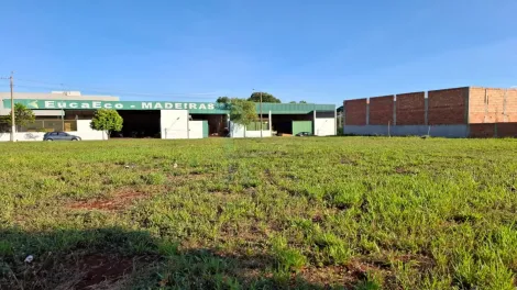 imagem 2 - Terreno de 500m² à venda - Jardim Amália em Sertãozinho imagem 2 - Terreno de 500m² à venda - Jardim Amália em Sertãozinho