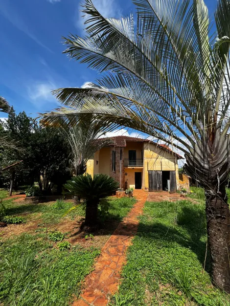 imagem 1 - Chácara de 2500m² com 03 quartos à venda - Centro imagem 1 - Chácara de 2500m² com 03 quartos à venda - Centro