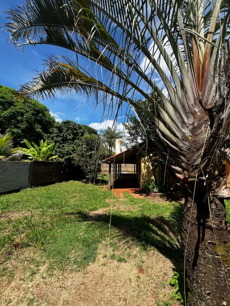 imagem 3 - Chácara de 2500m² com 03 quartos à venda - Centro imagem 3 - Chácara de 2500m² com 03 quartos à venda - Centro