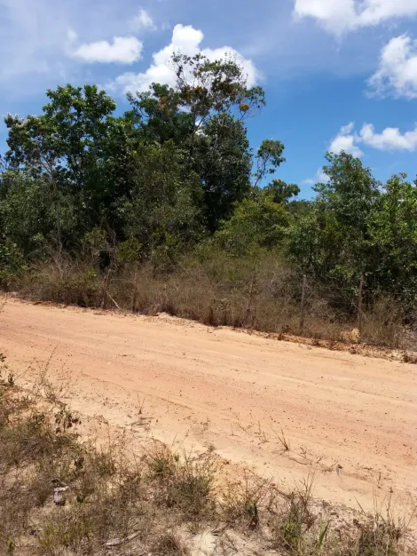 imagem 2 - Fazenda 26 hectare à venda em Camaçari / BA imagem 2 - Fazenda 26 hectare à venda em Camaçari / BA