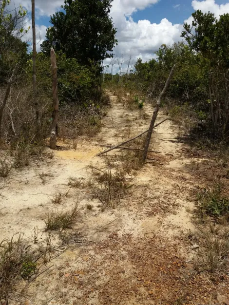 imagem 3 - Fazenda 26 hectare à venda em Camaçari / BA imagem 3 - Fazenda 26 hectare à venda em Camaçari / BA