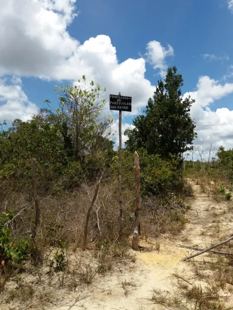 imagem 4 - Fazenda 26 hectare à venda em Camaçari / BA imagem 4 - Fazenda 26 hectare à venda em Camaçari / BA